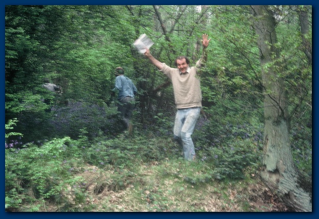 600x404 pixels (160K)